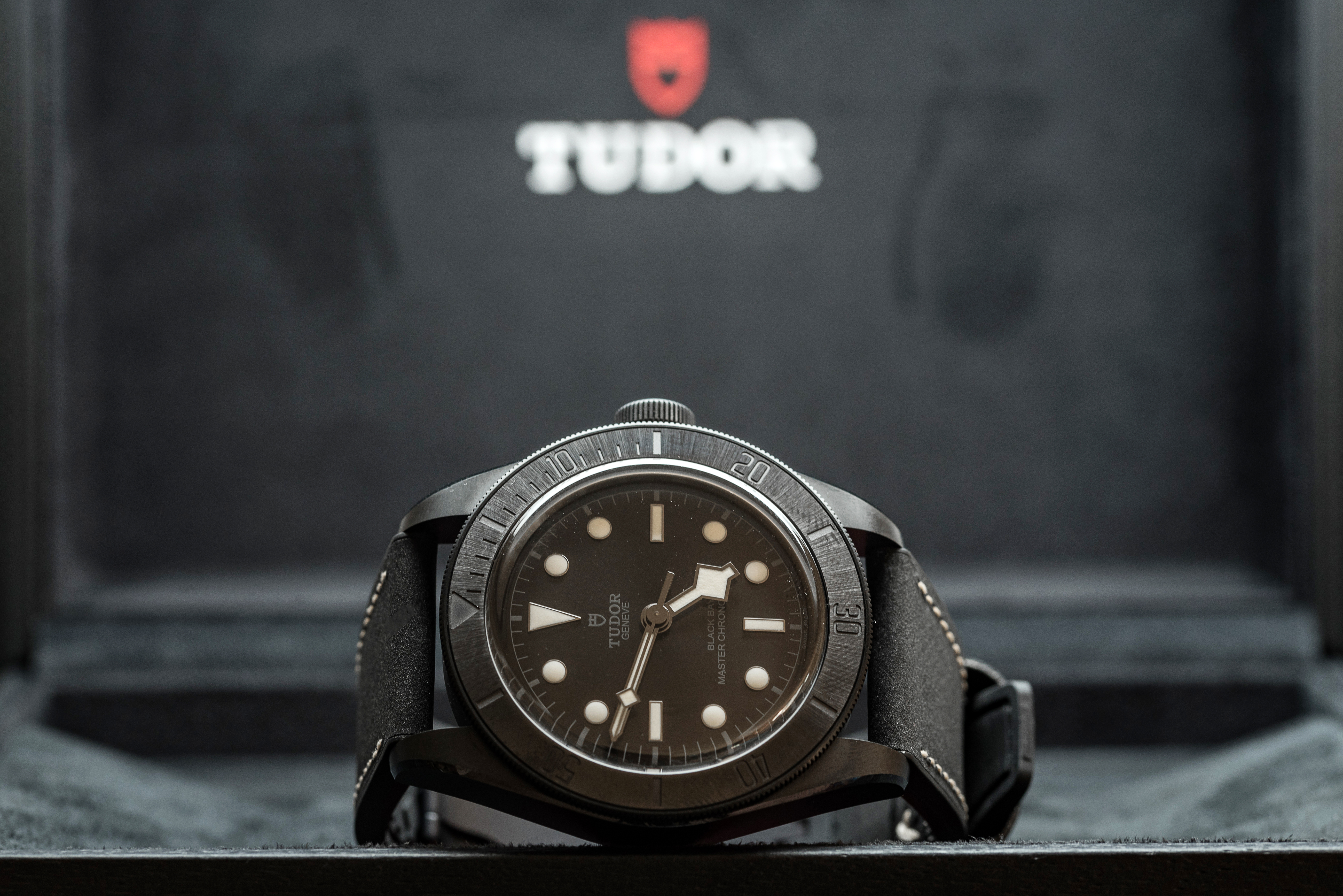 Tudor black shop bay sale