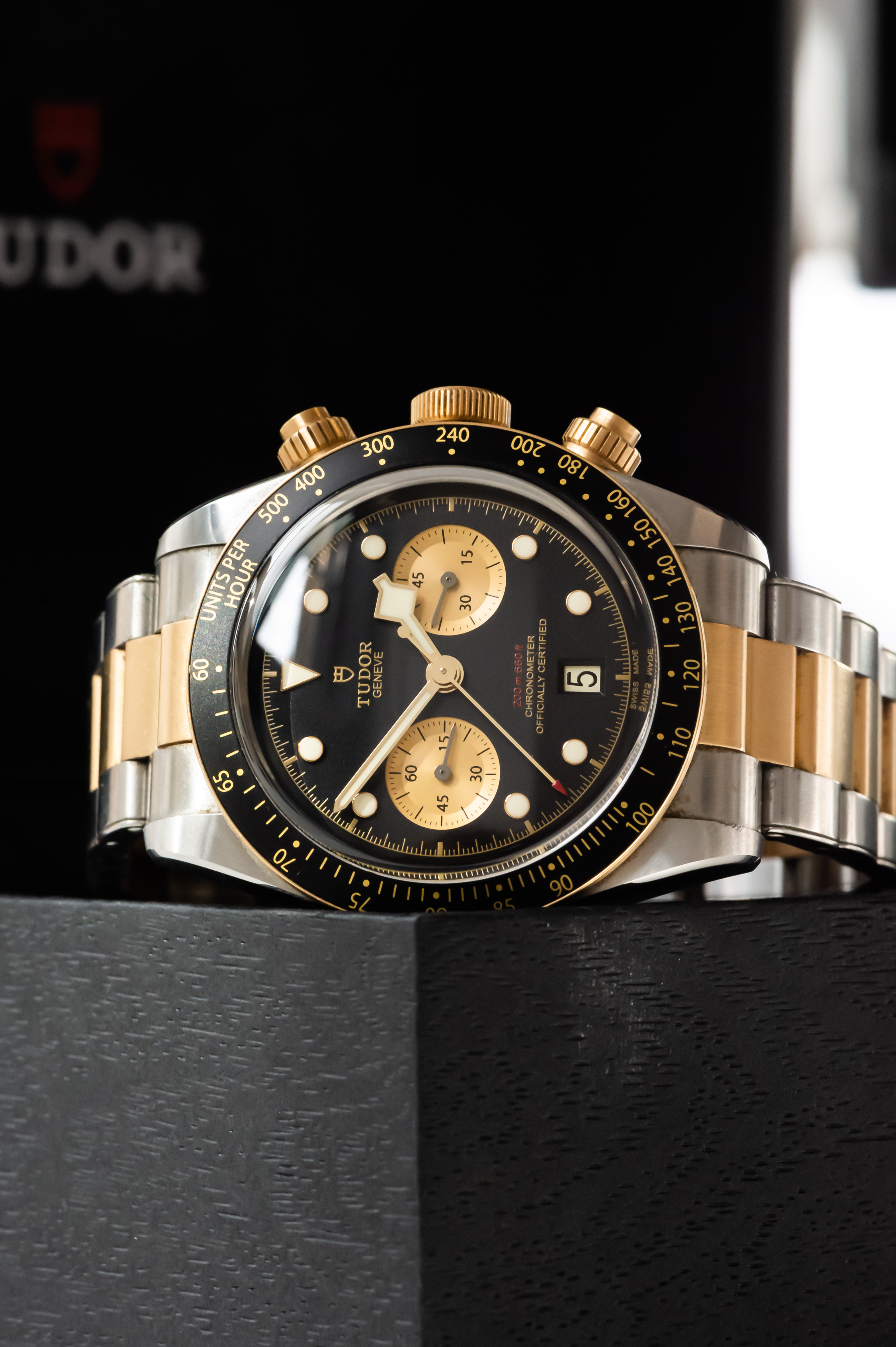 Tudor discount 2021 release