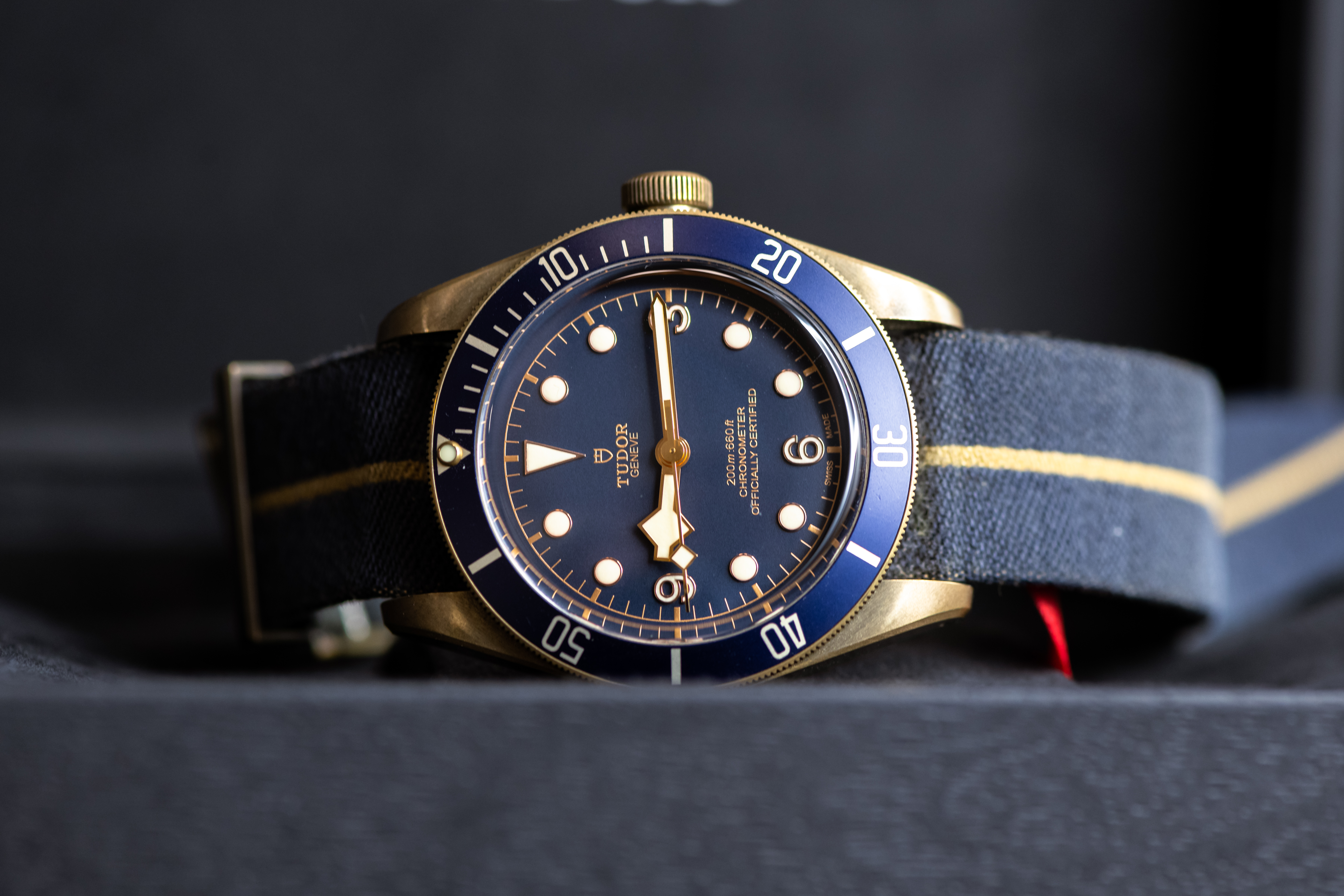 Tudor hotsell bucherer bronze