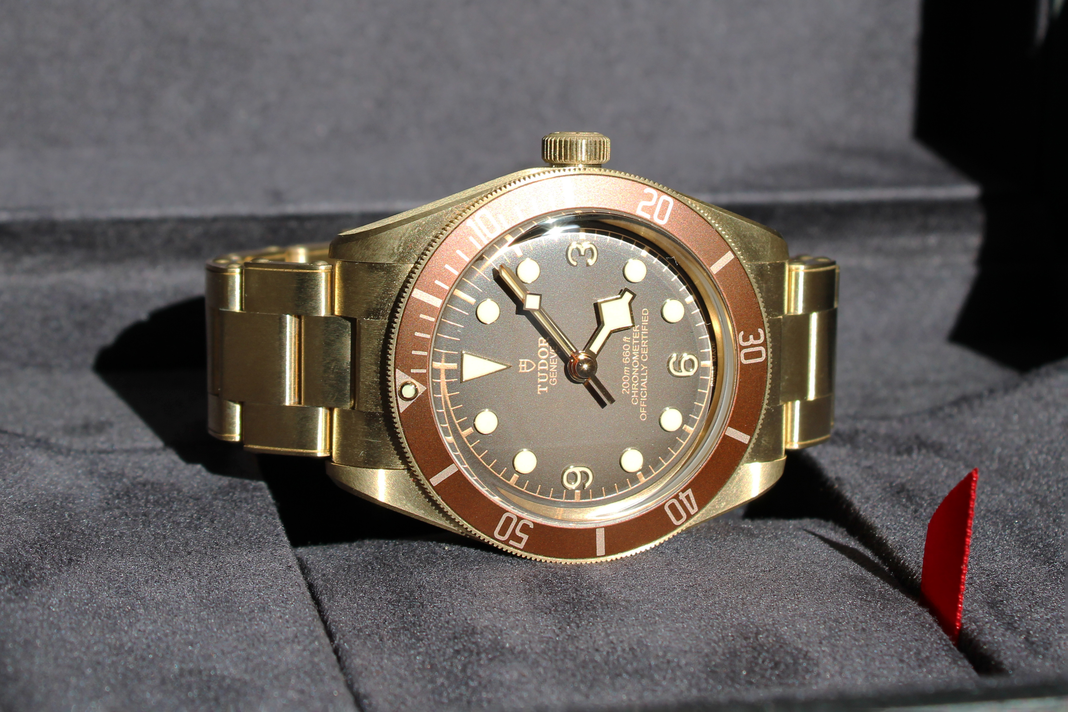 Fake tudor black bay cheap bronze