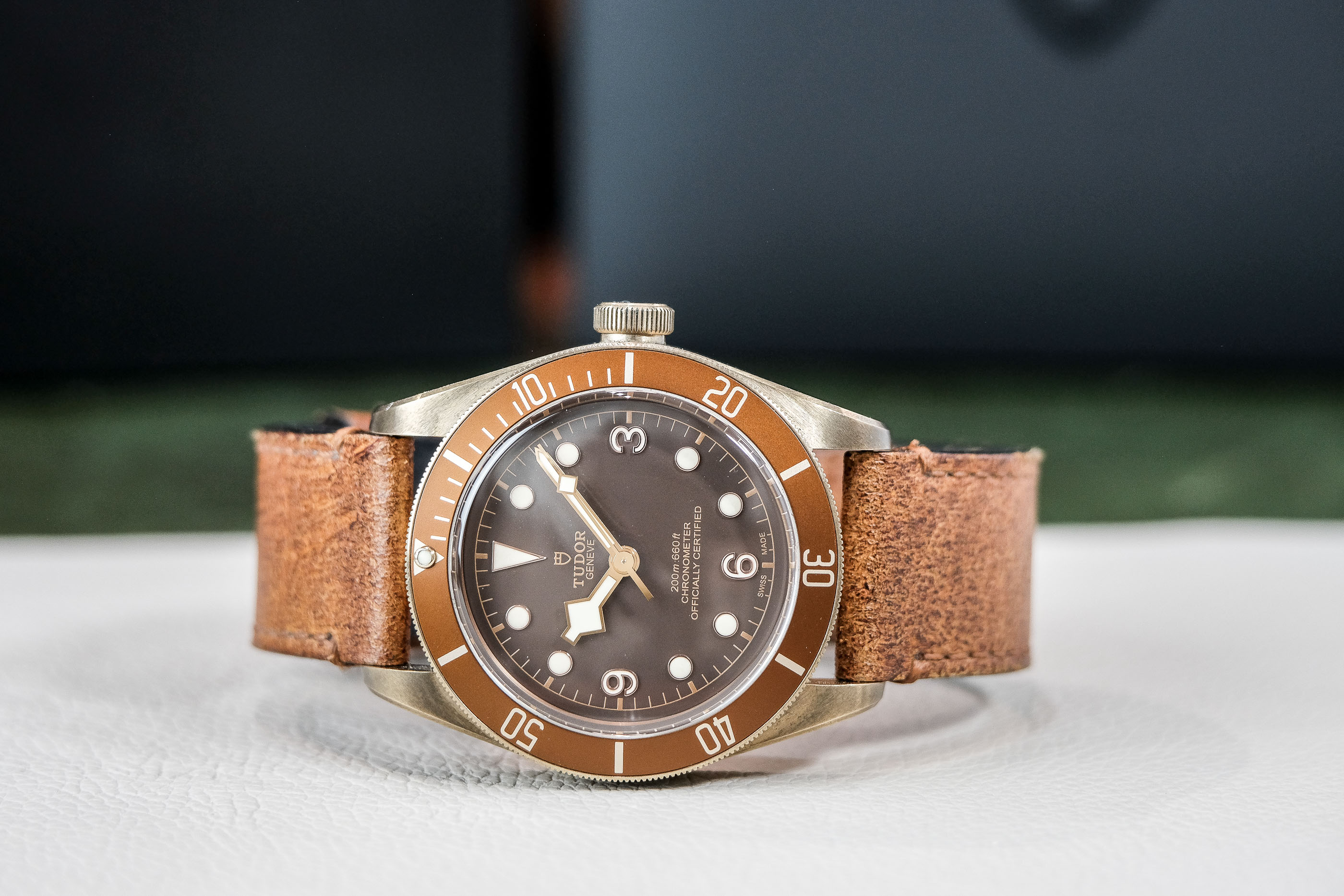 Tudor on sale bronze discontinued